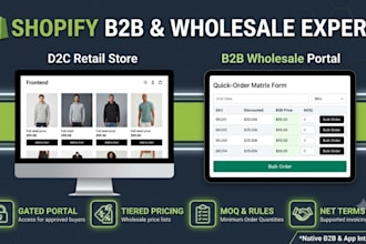 set up a high converting shopify b2b store or website