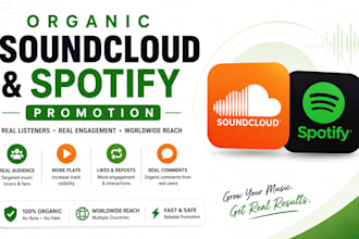 do quality organic music promotion through my network