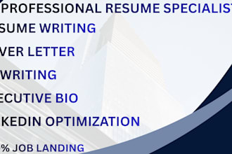 craft you an attorney resume for job search