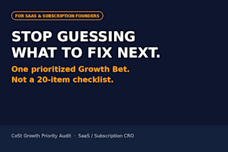 audit your  b2b b2c saas websites to improve conversions
