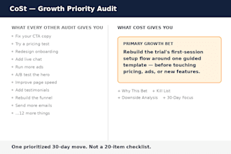 audit your saas or subscription business