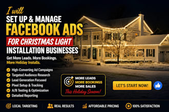 set up and manage facebook ads for christmas light installation businesses
