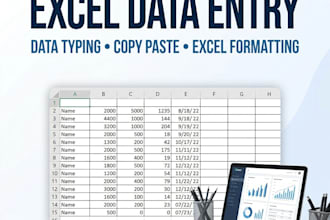 do professional excel data entry, formatting and data cleaning