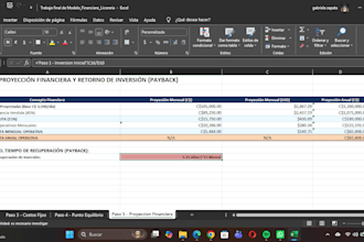 bookkeeping accounting and data entry in excel