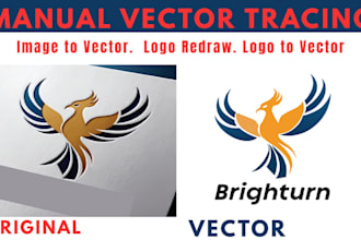 vector tracing, recreate, cleanup logo, image to vector