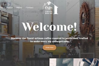 create a pro website for you