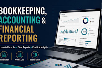 do professional bookkeeping, accounting and financial reporting