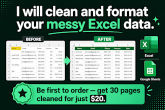 data cleaning, data analysis, formatting, and excel dashboard