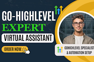 gohighlevel setup virtual assistance go high level expert clone highlevel expert