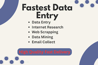 do fastest data entry in spreadsheet in 12hours, lowest price internet research