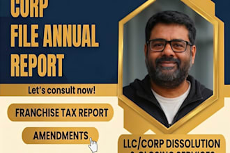 reinstate, amend, or dissolve your USA llc and corp