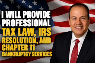 provide professional tax law, irs resolution, and chapter 11 bankruptcy services