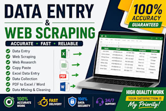 accurate data entry and web scraping