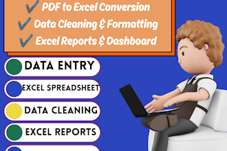 create professional excel spread sheets reports and up to 4 hours of data entry