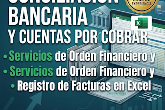 do financial data entry and bank reconciliation in excel