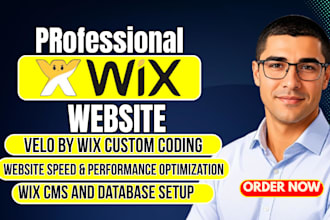 build custom wix studio website with velo code, wix database design and wix seo