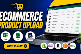 ecommerce data entry, spreadsheet, excel, product upload, data entry