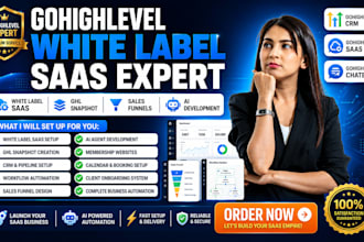 set up gohighlevel white label saas ghl snapshot sales funnel ghl ai development