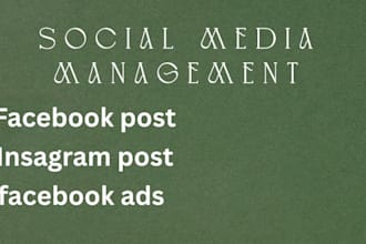 be your social media manager and strategy