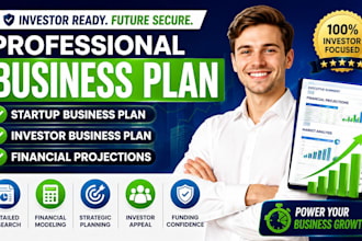 write professional business plan startup business plan investor business plan