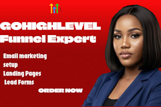 build a professional gohighlevel funnel for lead generation and appointments