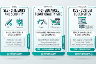 provide wp care plans and maintenance packages