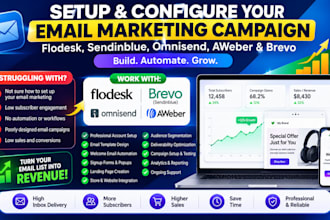 set up flodesk, sendinblue, brevo, omnisend, aweber for active email campaign