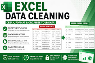 clean format and organize excel data