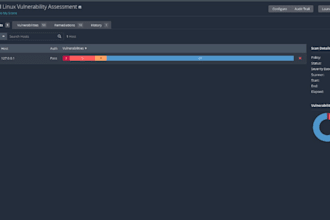 perform a vulnerability assessment and deliver a professional security report