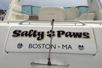 design professional boat, yacht, and ship logo design