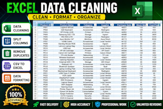 excel data cleaning and formatting