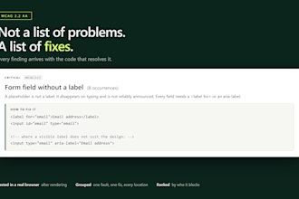 audit your website for wcag accessibility and give you the exact fixes
