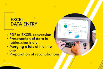 do professional PDF to excel conversion