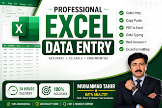 do excel data entry, copy paste, PDF to excel, data typing