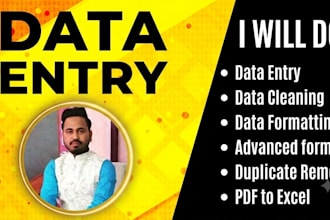 do advanced excel data cleaning data entry and clean up