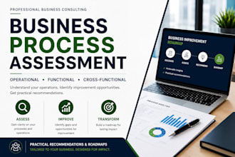 assess your business process and deliver reccomendations