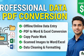 do professional data entry