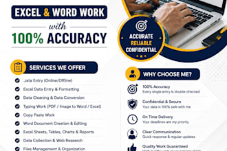 accurate excel data entry and copy paste work