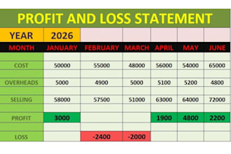 create a professional profit and loss statement in excel