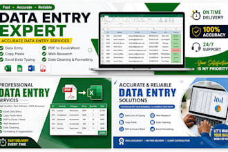professional data entry and excel services