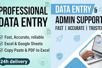 professional data entry and excel services