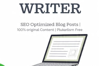 write SEO blog posts and articles