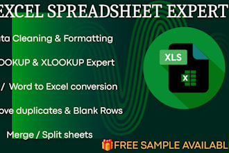 be your expert excel spreadsheet assistant
