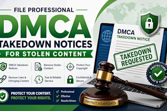 file professional dmca takedown notices for stolen content