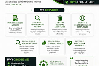 file professional dmca takedown notices for stolen content