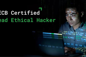be pro cyber investigator with certified api encryption data obtained ethically