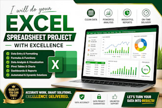 do your excel spreadsheet project with excellence