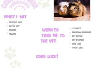 create pet care manuals