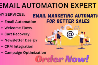 build klaviyo mailchimp hubspot ecommerce email automation workflows crm expert