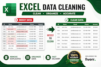 lean, organize and remove duplicate data in excel